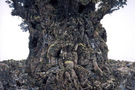 MON EXISTENCE MA RESISTANCE